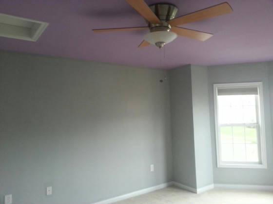 Accent colors by Hadley & Son Painting Maineville Ohio 45039 Interior Painting