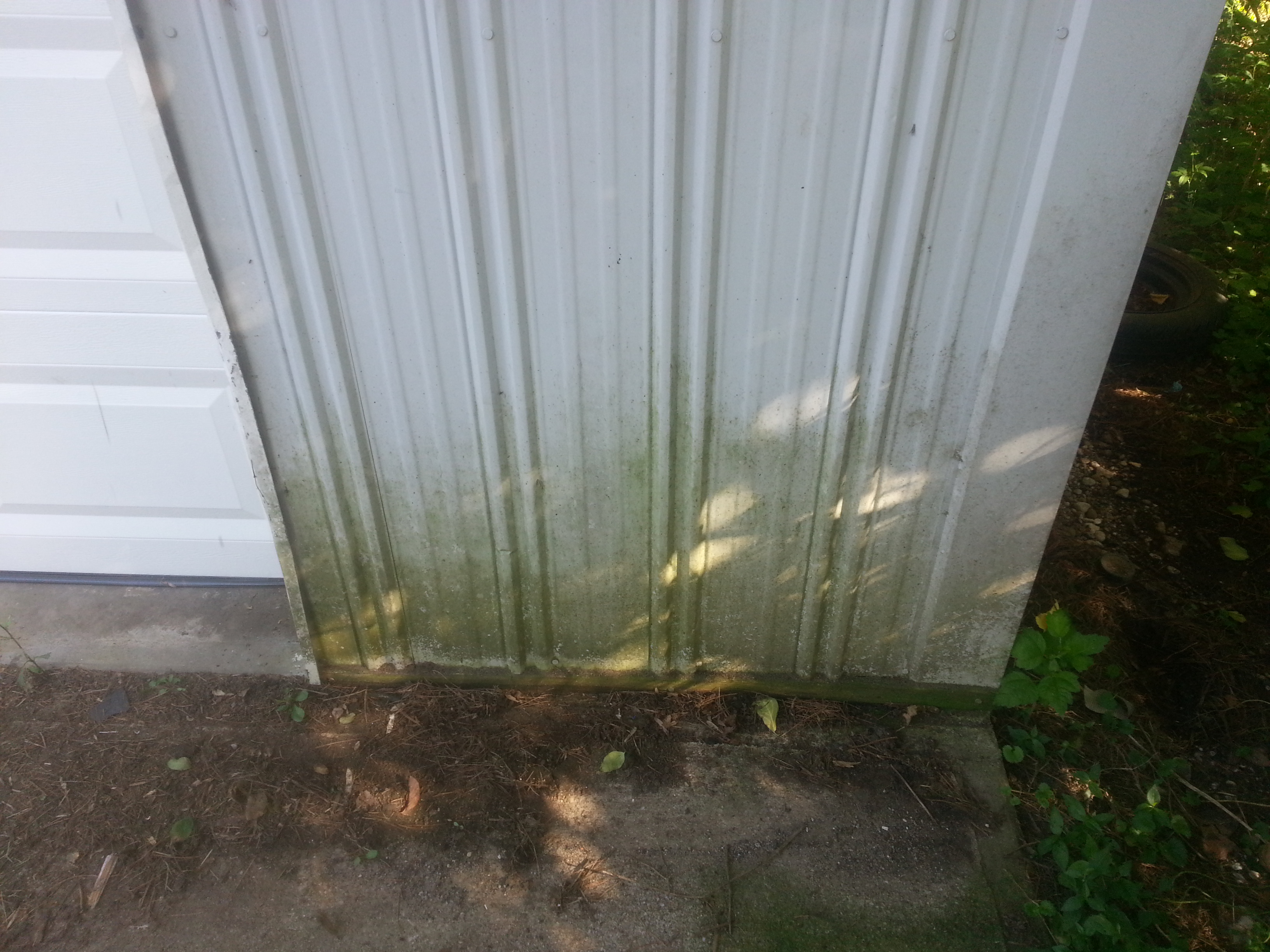 webassets/20140630_181738.jpg